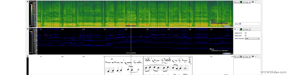 Byzantine singing analysis